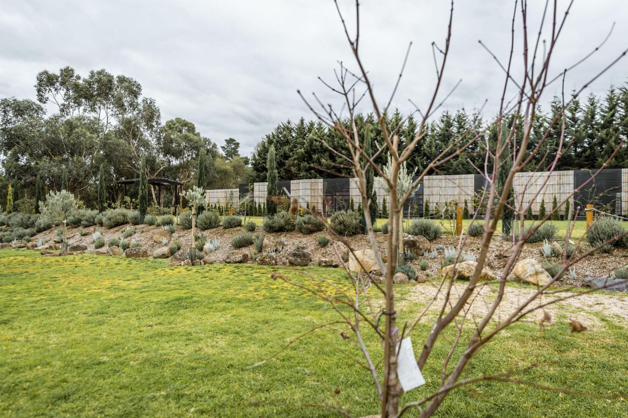 Hotel Foothills Lilydale Esterno foto